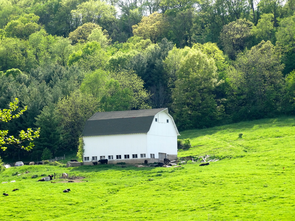 Swiss Valley Farm by khawbecker