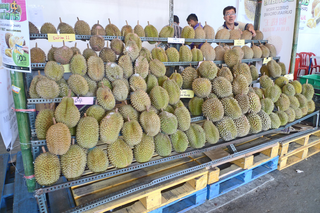 New Season Durian by ianjb21