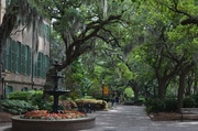 25th May 2014 - College of Charleston campus