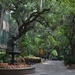 College of Charleston campus by congaree