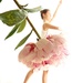 Pretty ballerina by cocobella