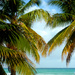 Playa Norte - Isla Mujeres by denisedaly