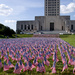 10,000 American Flags by eudora