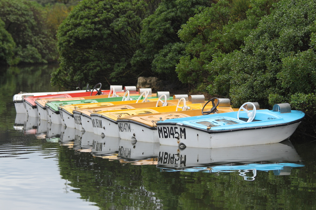 Boats-in-waiting by gilbertwood