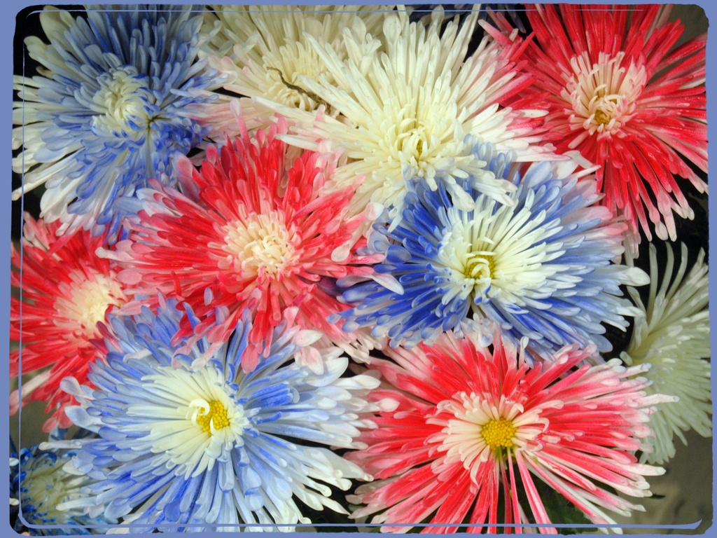 Memorial Day Flowers by genealogygenie