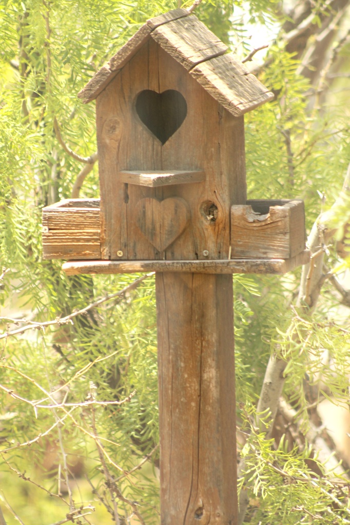 Another Birdhouse by judyc57