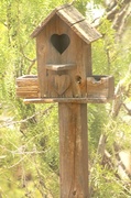 22nd May 2014 - Another Birdhouse