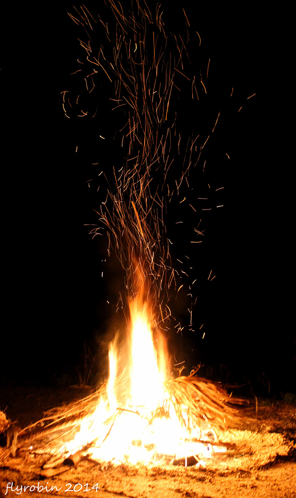Bonfire fun by flyrobin