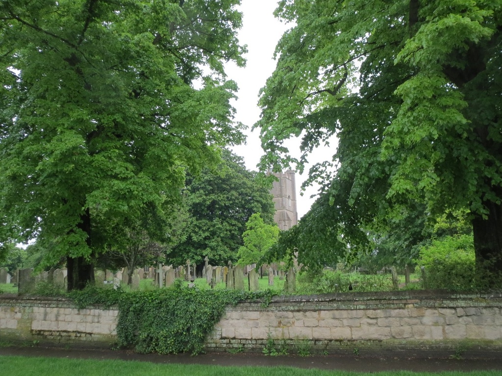 View of the church through the lime trees. by foxes37