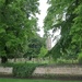 View of the church through the lime trees. by foxes37