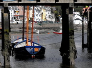 27th May 2014 - Safe harbour....(unless you are a crab)