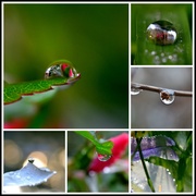 28th May 2014 - droplet collage 