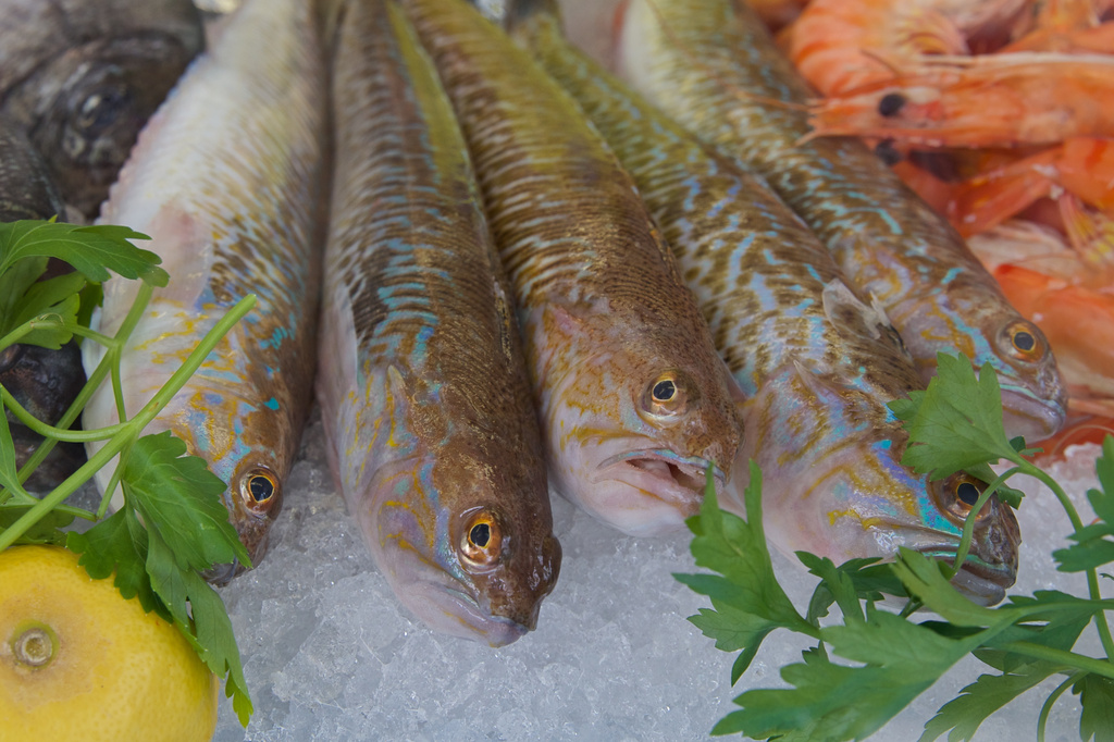 Vaison La Romaine Market Fish by jyokota