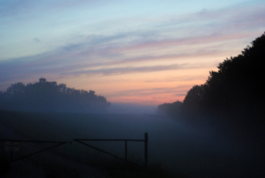 Fog at Sunset by genealogygenie