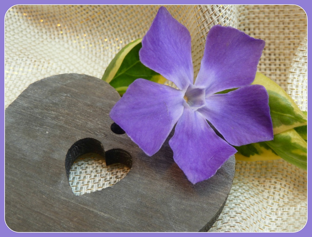 Motivate-4-May. Heart. Wooden Heart by wendyfrost