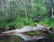 28th May 2014 - River log