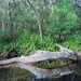 River log by peterdegraaff
