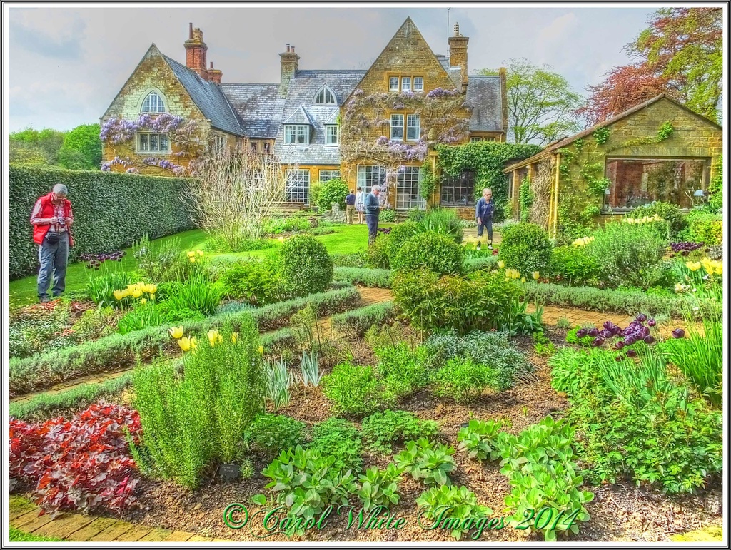 Coton Manor and Gardens  by carolmw