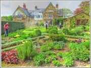 28th May 2014 - Coton Manor and Gardens 