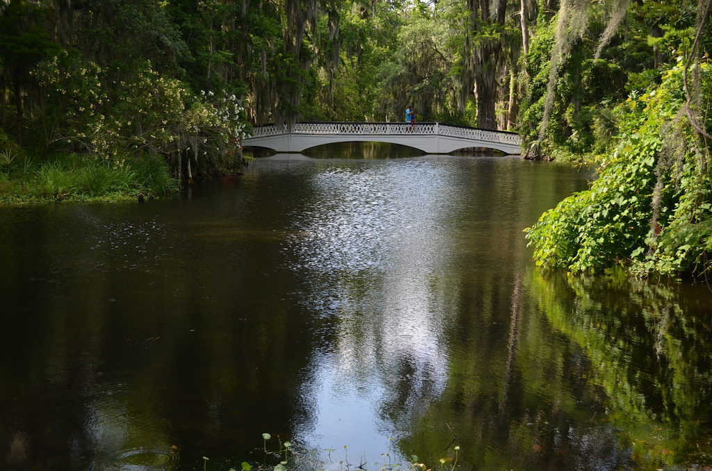 The lake and bridge at Magnolia Gardens, Charleston, SC.  There are an astonishing number of ways to photographic this iconic bridge at one of the world's most famous gardens.  So many angles and viewpoints and, of course, from the bridge itself. by congaree