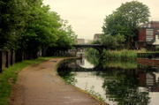 27th May 2014 - Canal Relfections