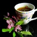 Wellness Tea by paintdipper