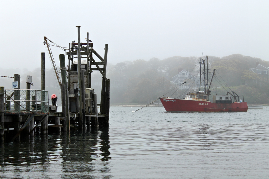 Foggy Fishing Pier by lauriehiggins