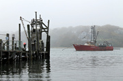 27th May 2014 - Foggy Fishing Pier
