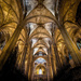 Cathedral of Barcelona 2 by taffy