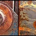 Glorious Rust by olivetreeann