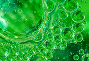 29th May 2014 - (Day 105) - Emerald Bubbles