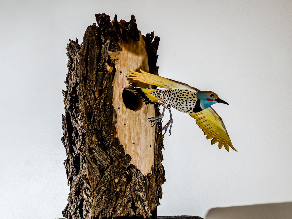 woodpecker sculpture by charles monte burzynski by myhrhelper