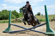 31st May 2014 - Jumping with Lancelot