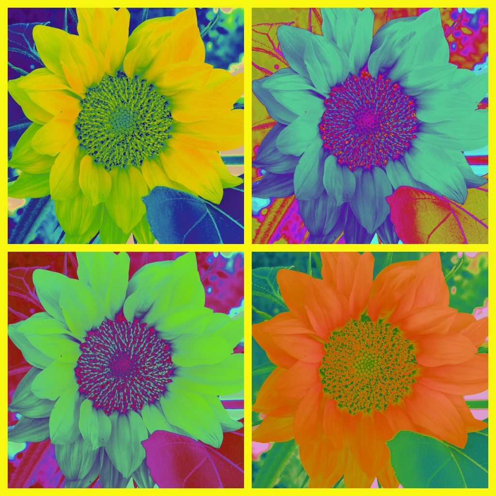 Four Way Flower by linnypinny