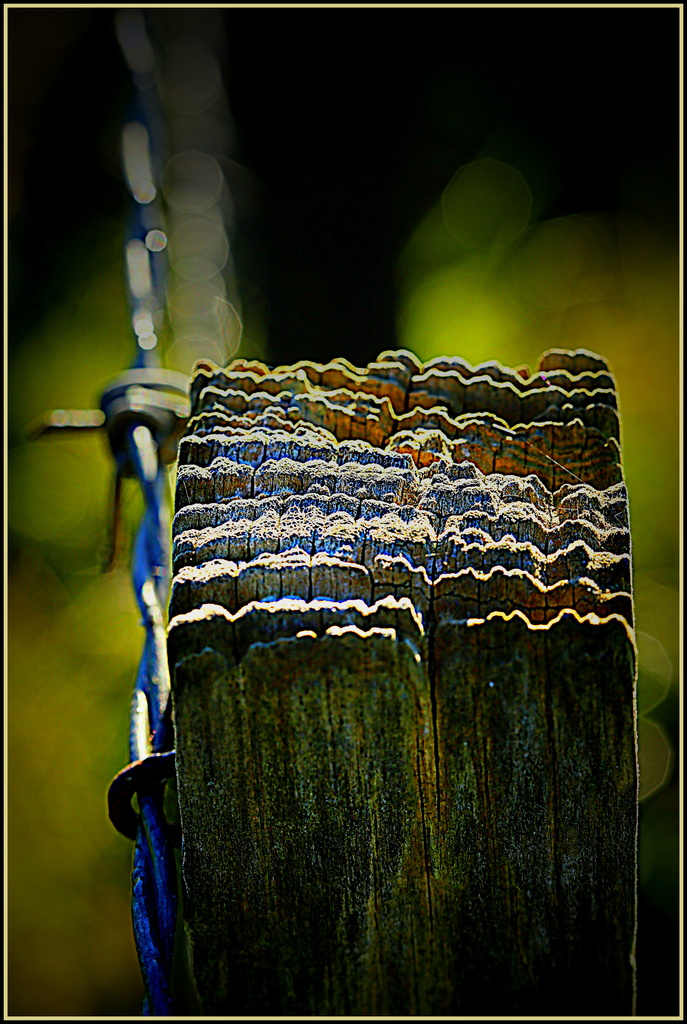 The fence by dide