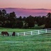 Morning on the Ranch by exposure4u