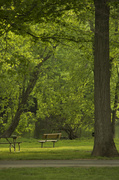 27th May 2014 - Lonely bench in sun