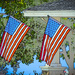 Holiday Stars and Stripes  by stray_shooter