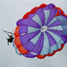 To Parasail or Not To Parasail by hondo