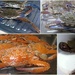 Kitchen sink full of Crabs. by happysnaps