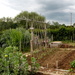 The allotment by busylady