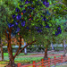 Jacarandas Are Blooming by stray_shooter
