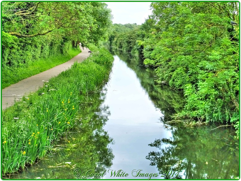 Towpath On The Grand Union Canal,Upton by carolmw