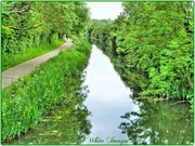 3rd Jun 2014 - Towpath On The Grand Union Canal,Upton