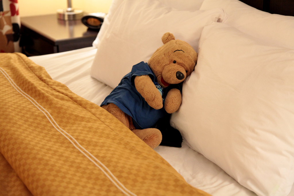 Bear in Bed by steelcityfox