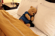 10th Mar 2014 - Bear in Bed