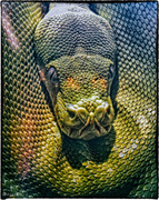 4th Jun 2014 - Python