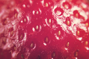 10th May 2014 - macro strawberry