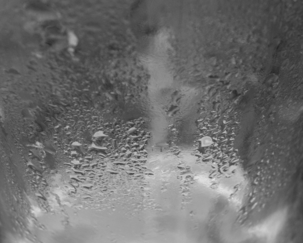 June 4 Water condensation by daisymiller