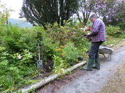 2nd Jun 2014 - The Gardener at Work